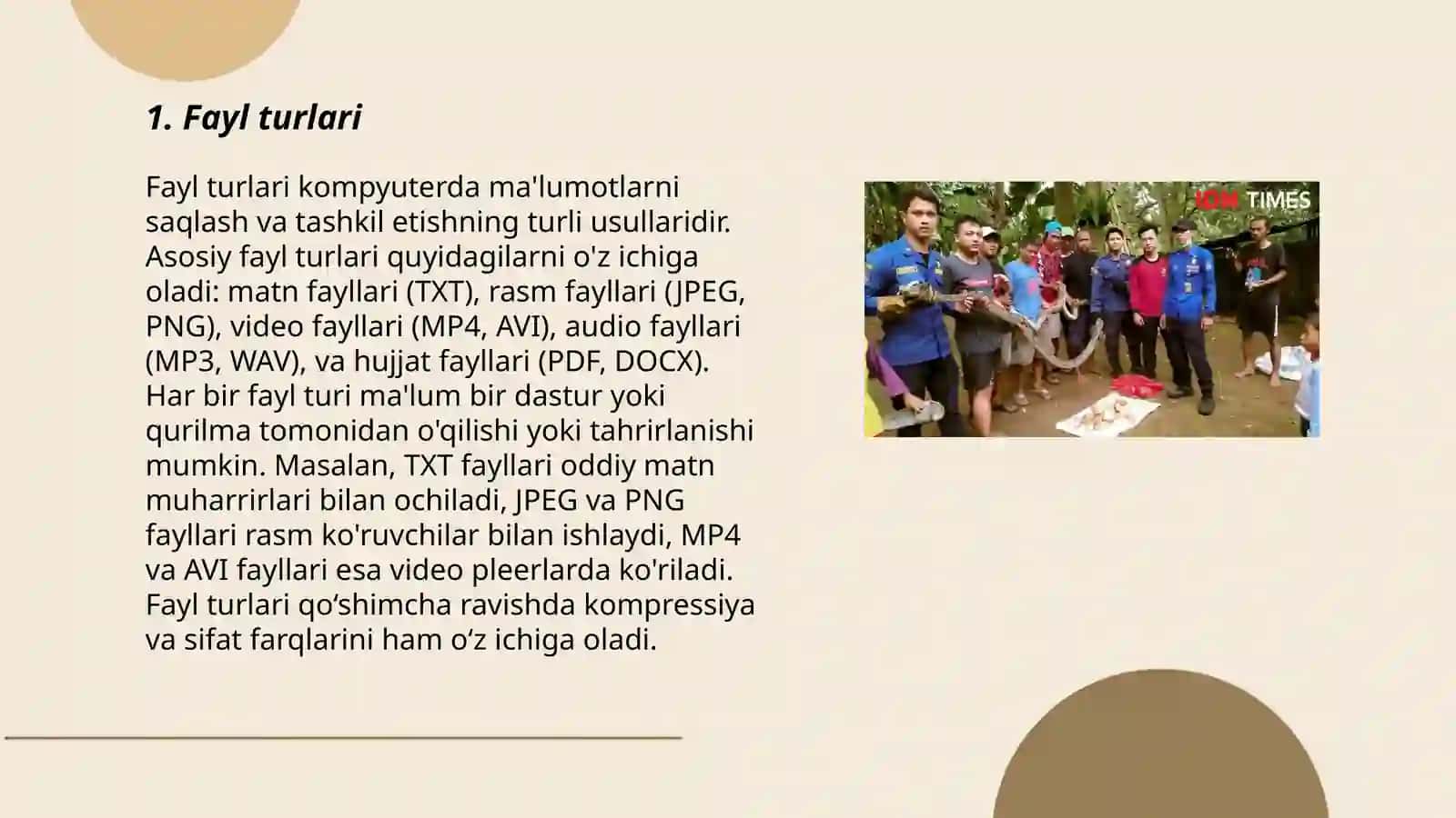 Fayl turlari 3