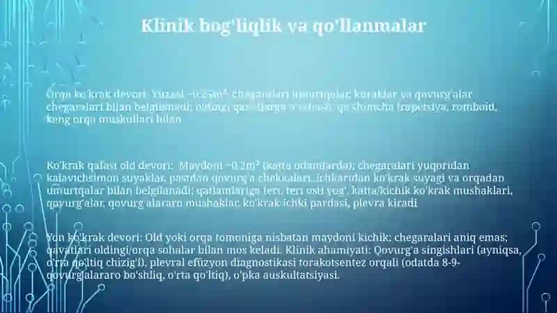 Ko'krakning yuza sohalari, chegaralari qavatlar topografiyasi 3