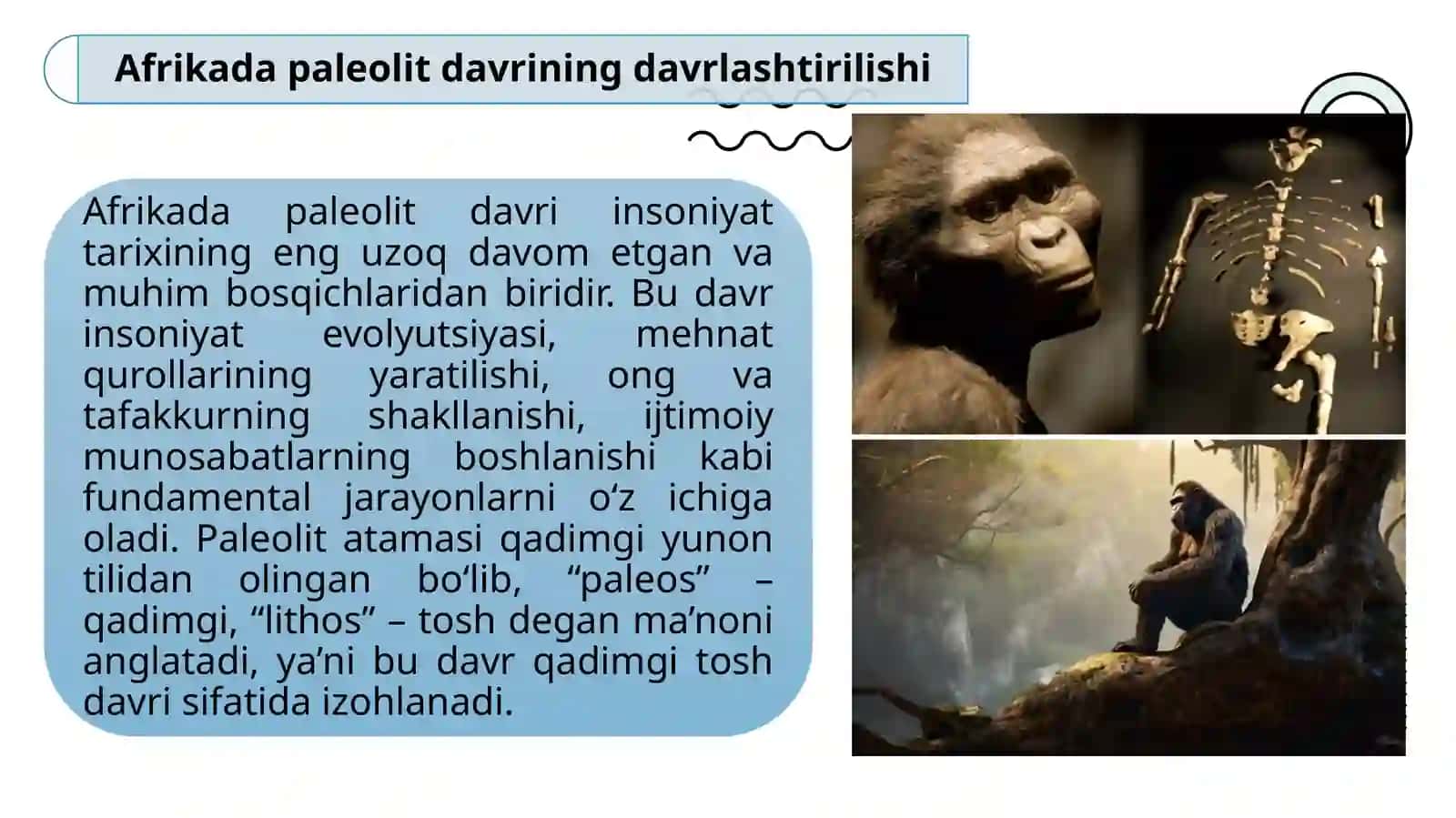 Afrika paleoliti. Afrika hududidan topilgan eng qadimgi odamlar 3