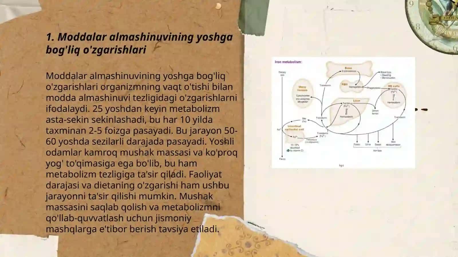 Moddalar almashinuvining yoshga oid xususiyatlari 3