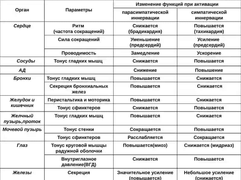 Лекарственные препараты, влияющие на адренергическую систему 3