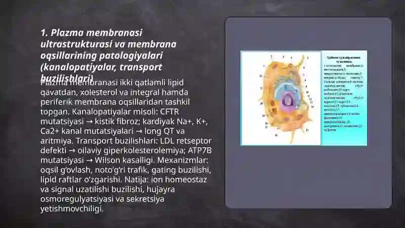 Eukariot hujayralarning ultrastrukturaviy tuzilishi. Hujayra umumiy organoidlari. Ushbu organellalarning patologiyasidan kelib chiqadigan kasalliklar. 3