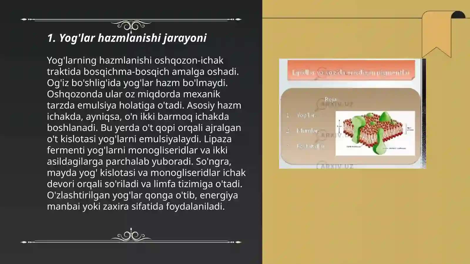Surunkali gepatitlar va holetsistitlarda yog'lar hazmlanishini buzulishi 3