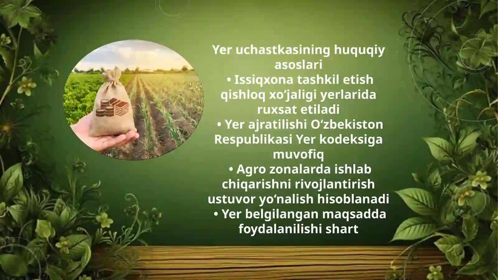 Agroiqtisodiy zonada 20 gektar issiqlik xonatashkiloti 3