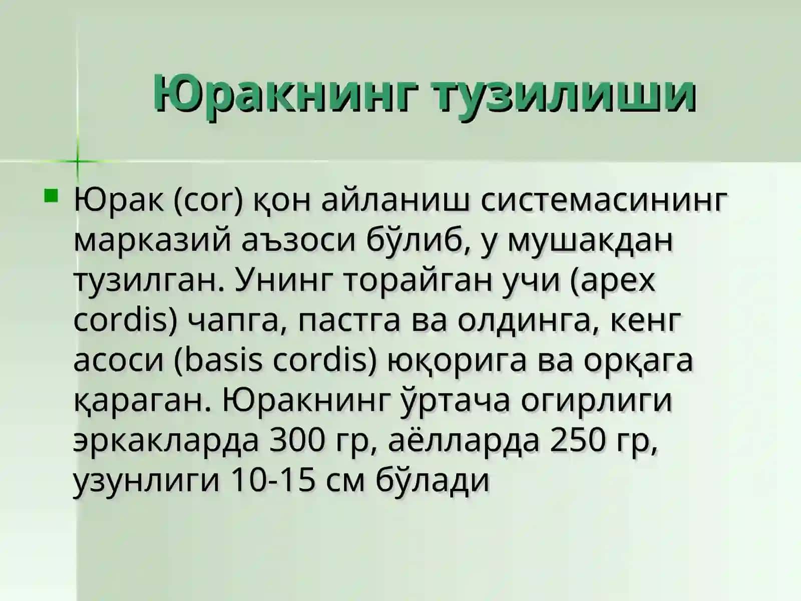 Юрак ва унинг тузилиши 3