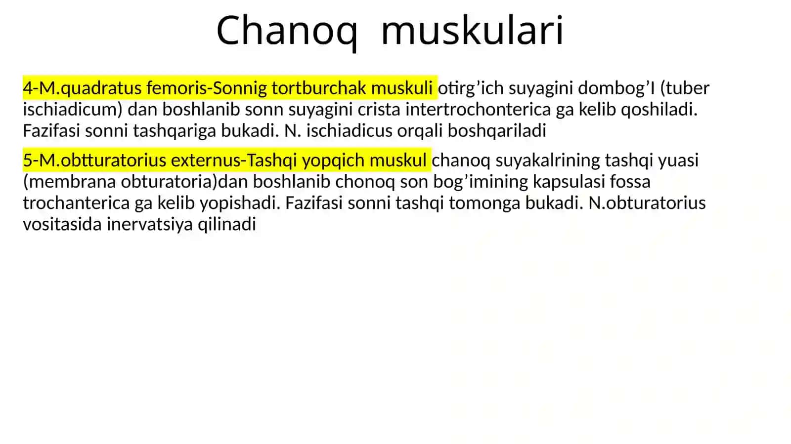 Chanoqmuskulari 3