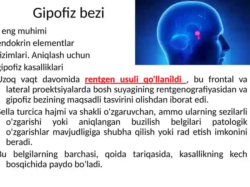 Gipofiz bezi endokrin elementlari va tizimlari 3