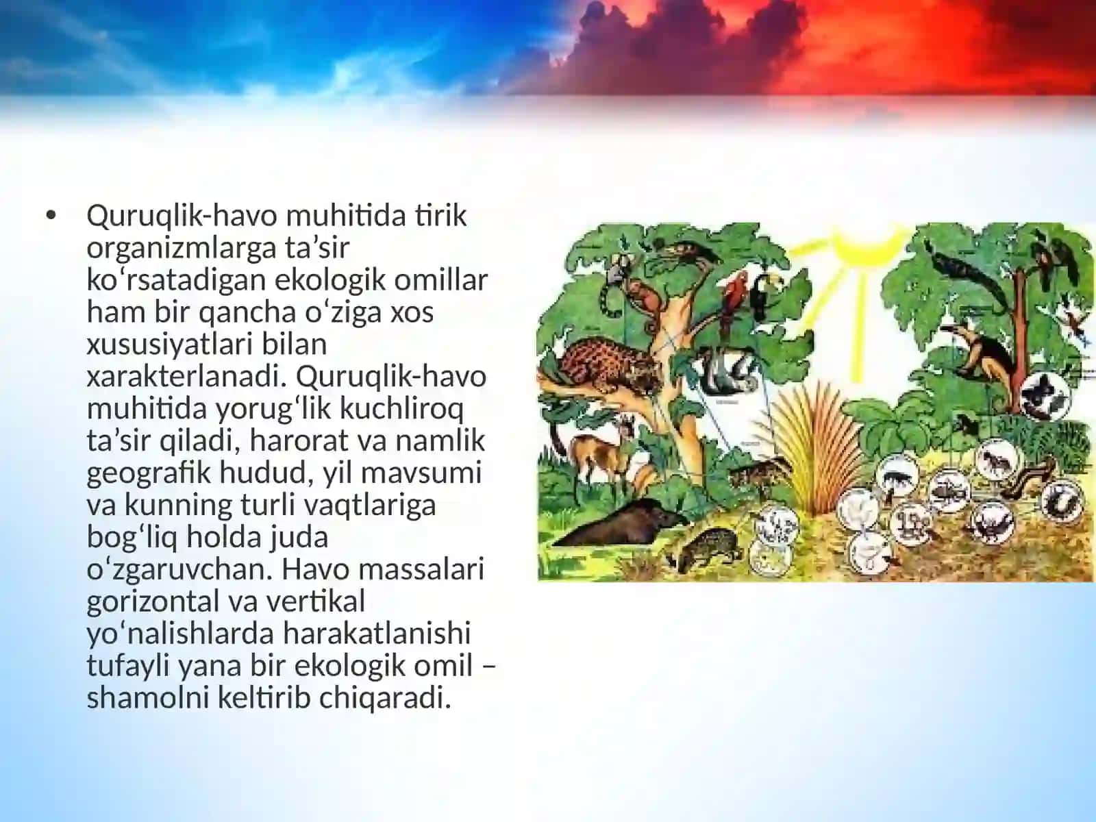 Quruqlik-havo muhiti 3