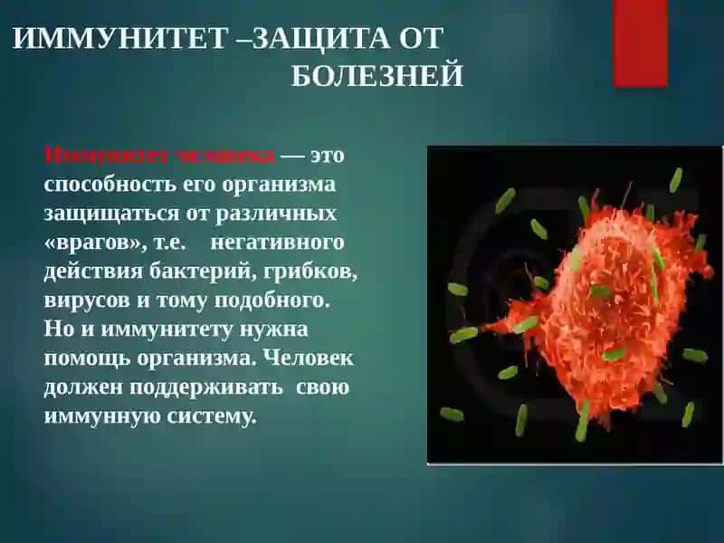 КАК укрепить иммунитет 3