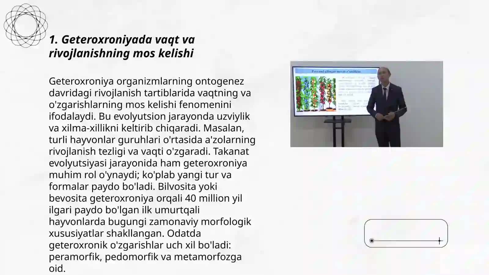O'sish va rivojlanish geteroxroniyasi 3