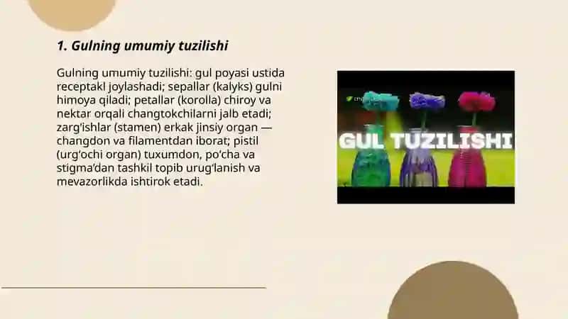 Gul tuzilishi va turlari 3