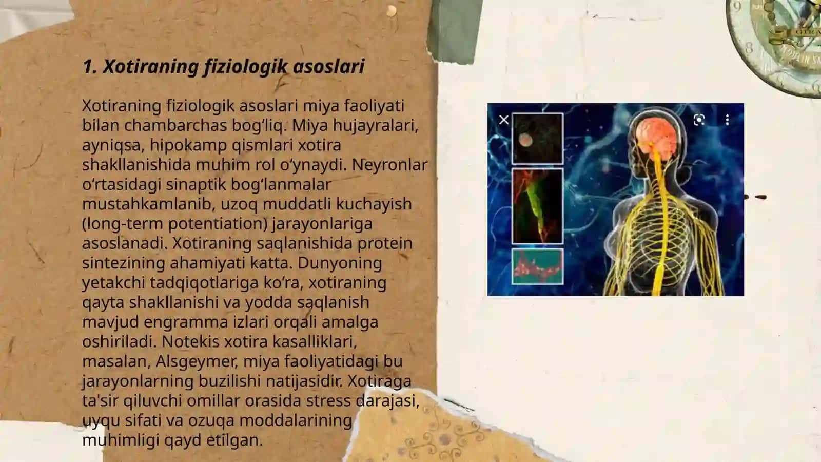 Xotira xaqida tushincha va uning nerf fiziologik tushinchasi 3