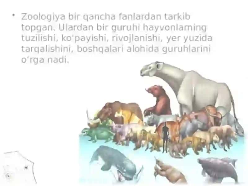 ZOOLOGIYA FANI VA UNING VAZIFALARI 3