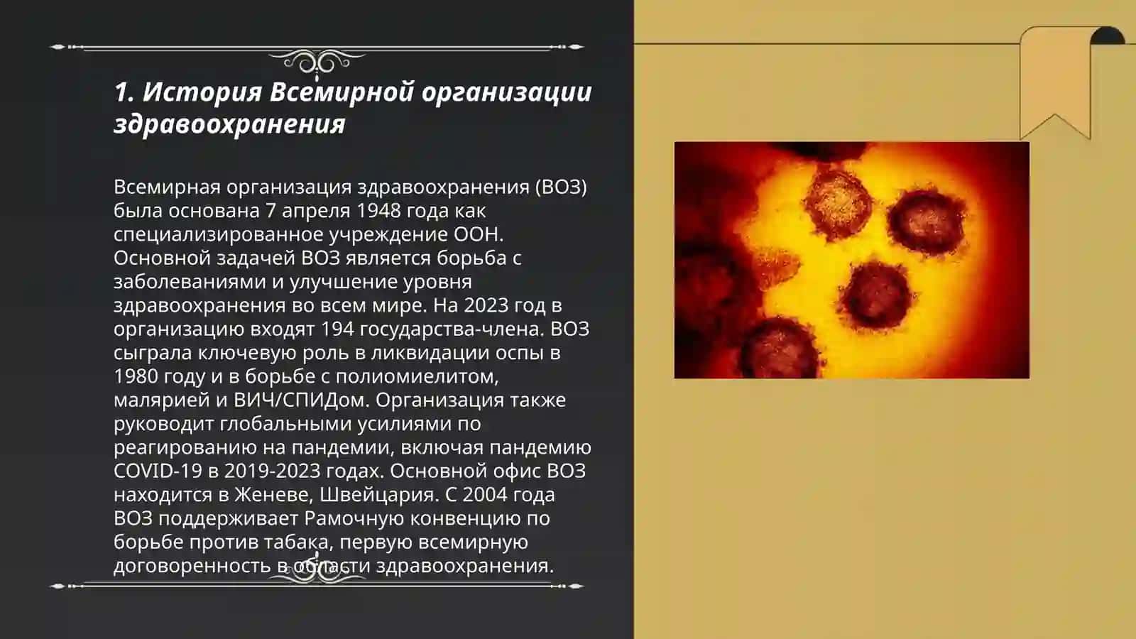 Всемирная Организация здравоохранения 3