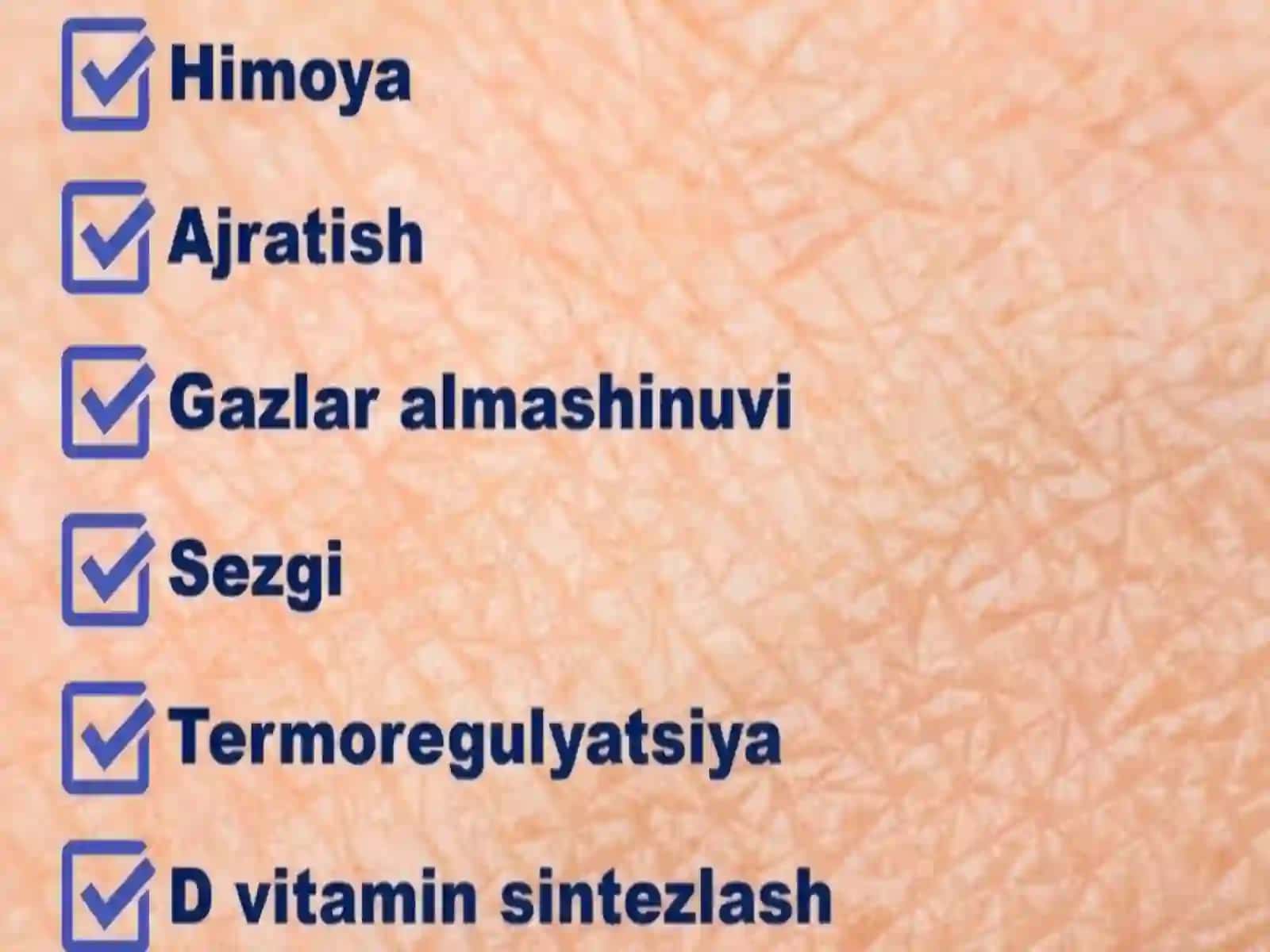 Terianatomiyasi va fiziologiyasi 3