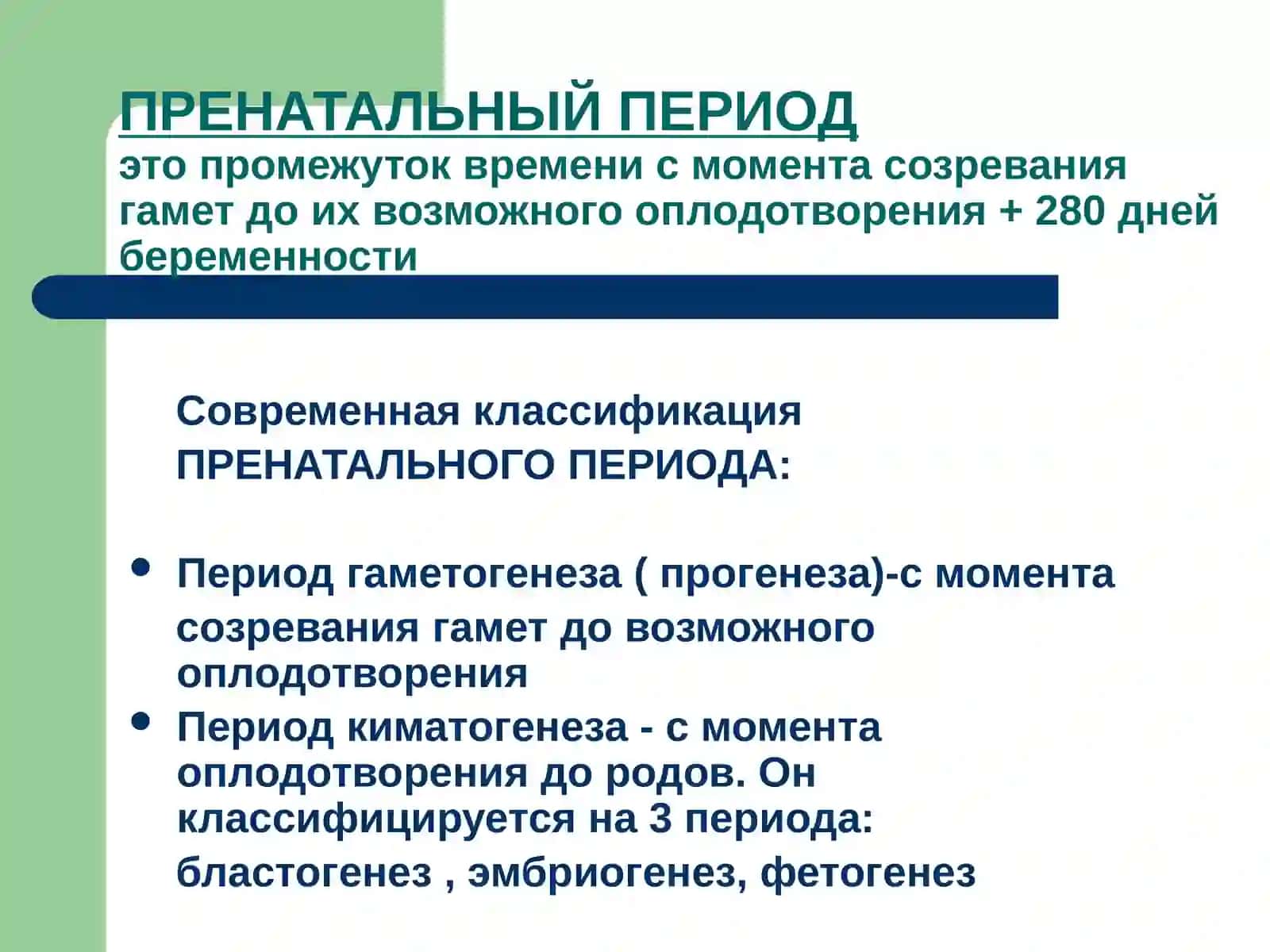 Пренатальнаяпатология 3