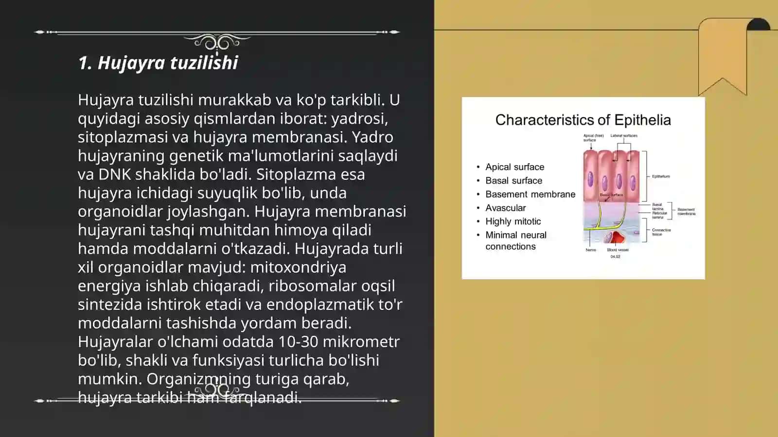 Hayvon organizmi hujayrasi va to'qimalarining tuzilishi va rivojlanish shartlari 3