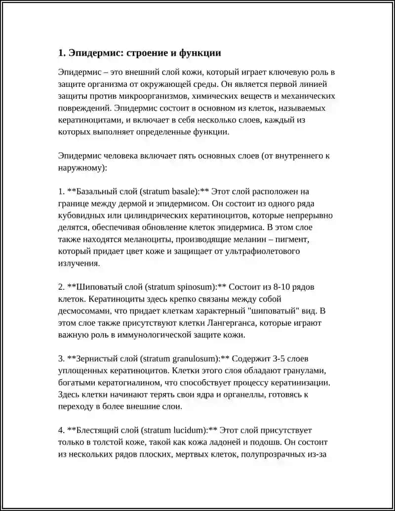 Эпидермис: строение и функции 3