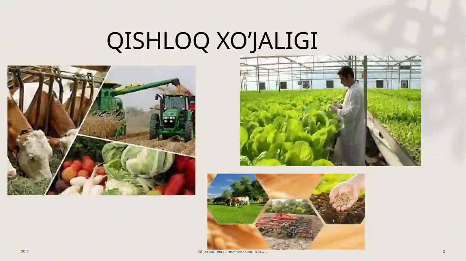 QISHLOQ XO’JALIGI VA BIOSFERA 3