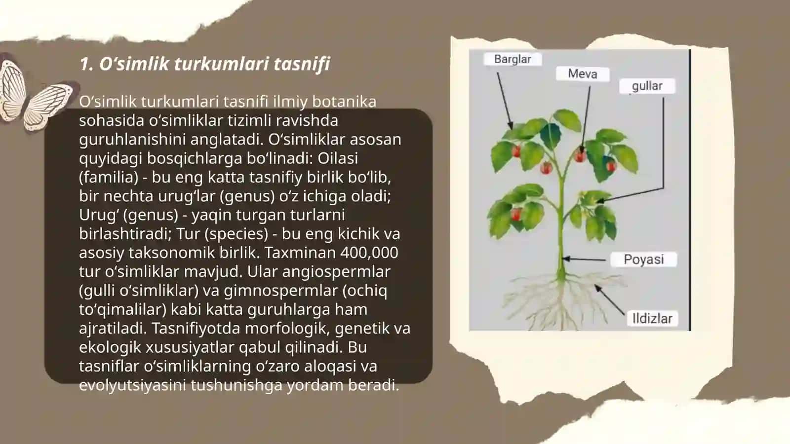 Oʻsimlik turkumlari va ularning joylashishi 3