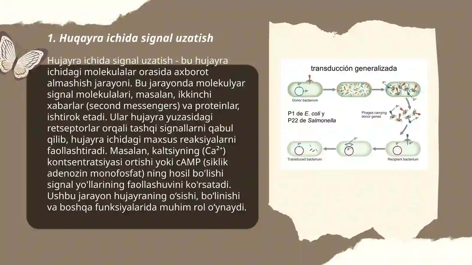 Hujayraning signal transduksiya tizimlari 3