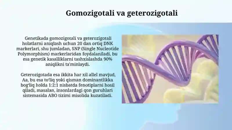 Genotiplash 3