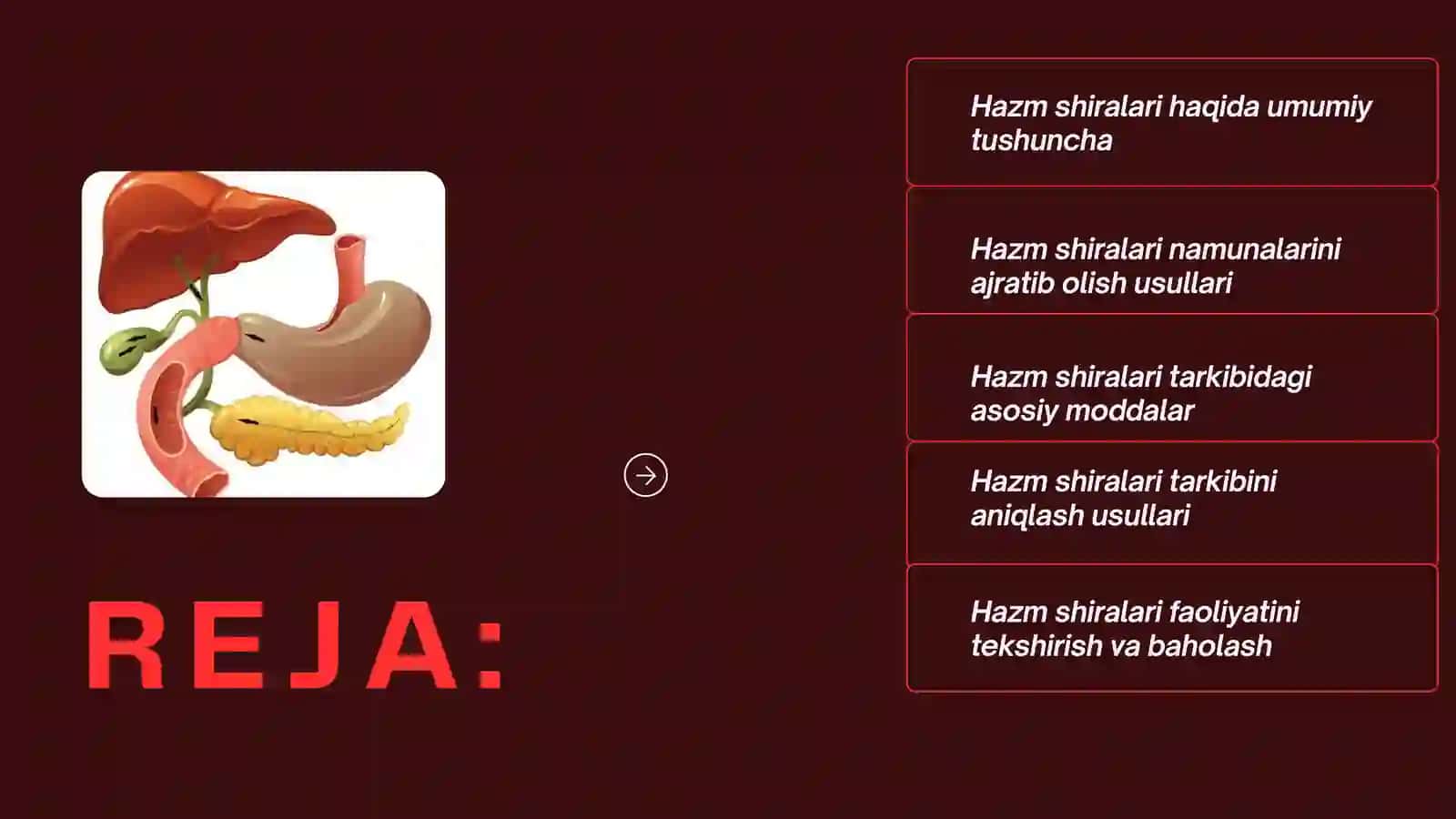 Hazm shiralari 3