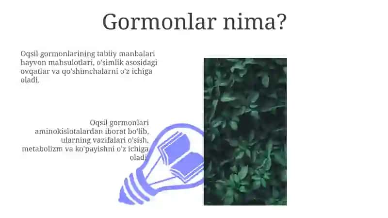 Gormonlar 3