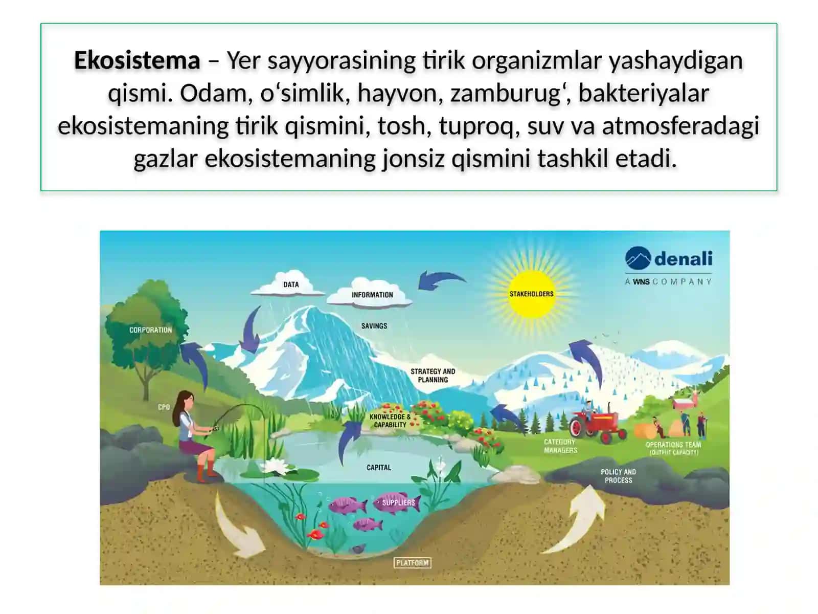 L O Y I H A I S H IEKOSISTEMA MODELINI YASASH 3