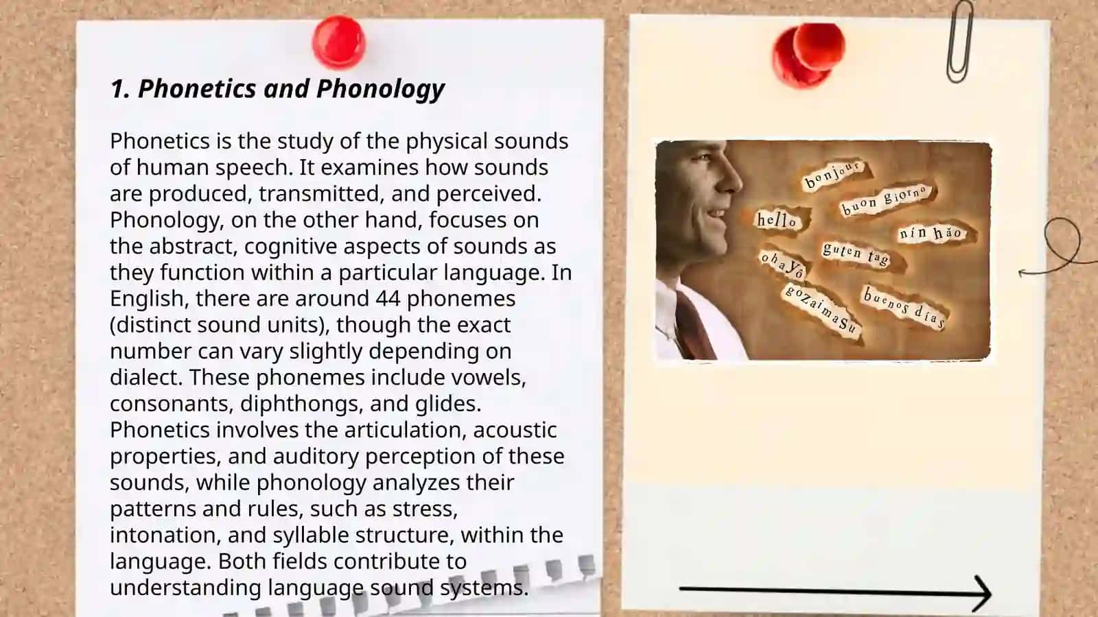 Phonetics and Phonology 3