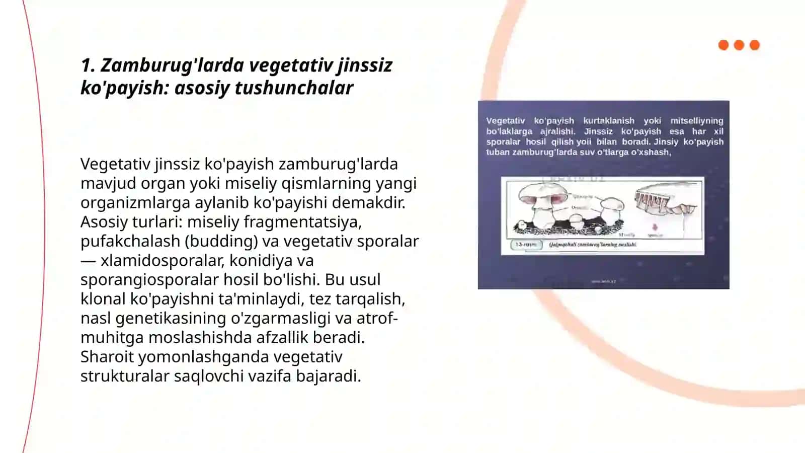 Zamburuğlarning vegetativ jinssiz va jinsiy kopayishi 3