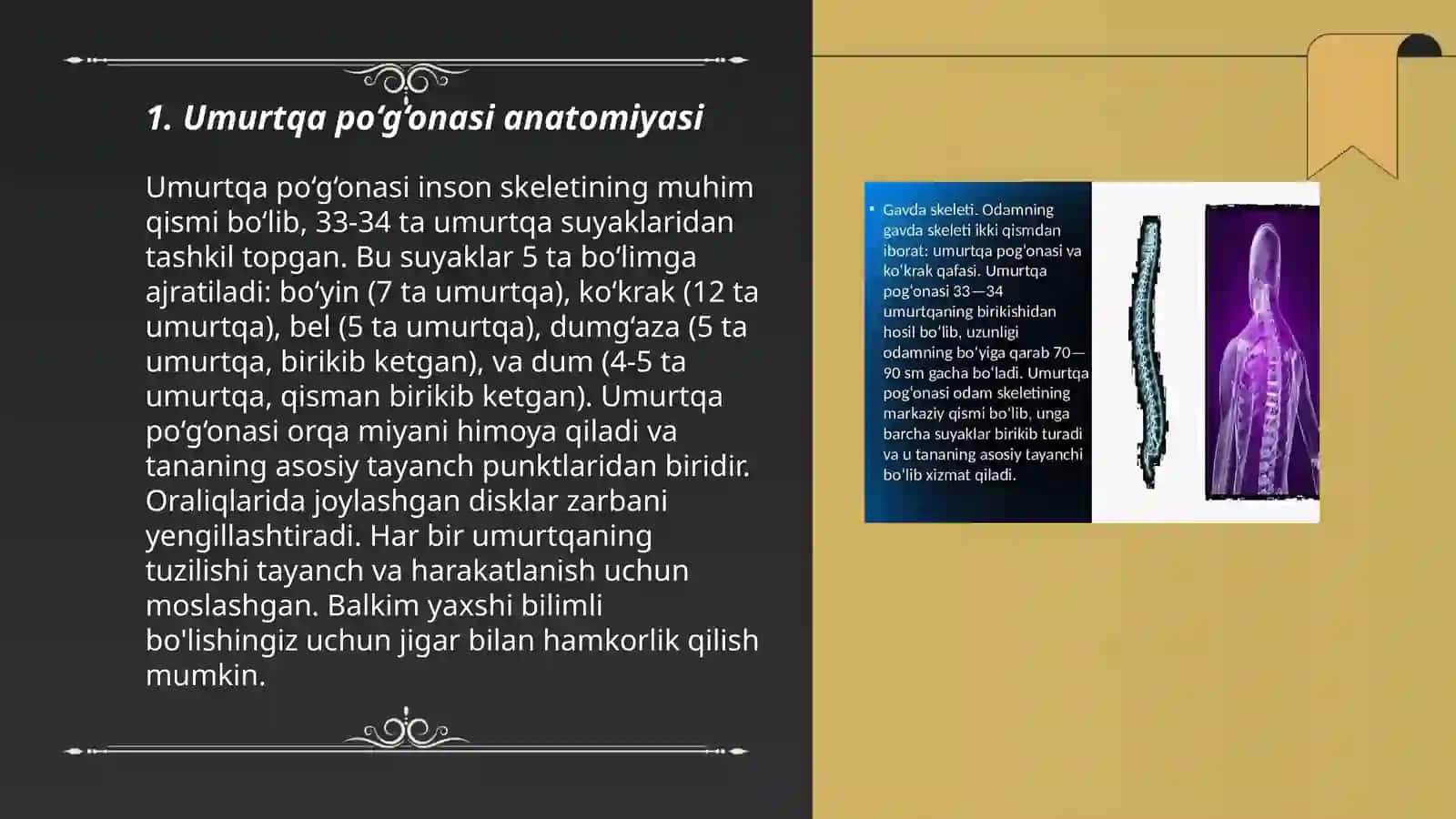 Umurtqa poğonasi, boʻlimlari va kasalliklari 3