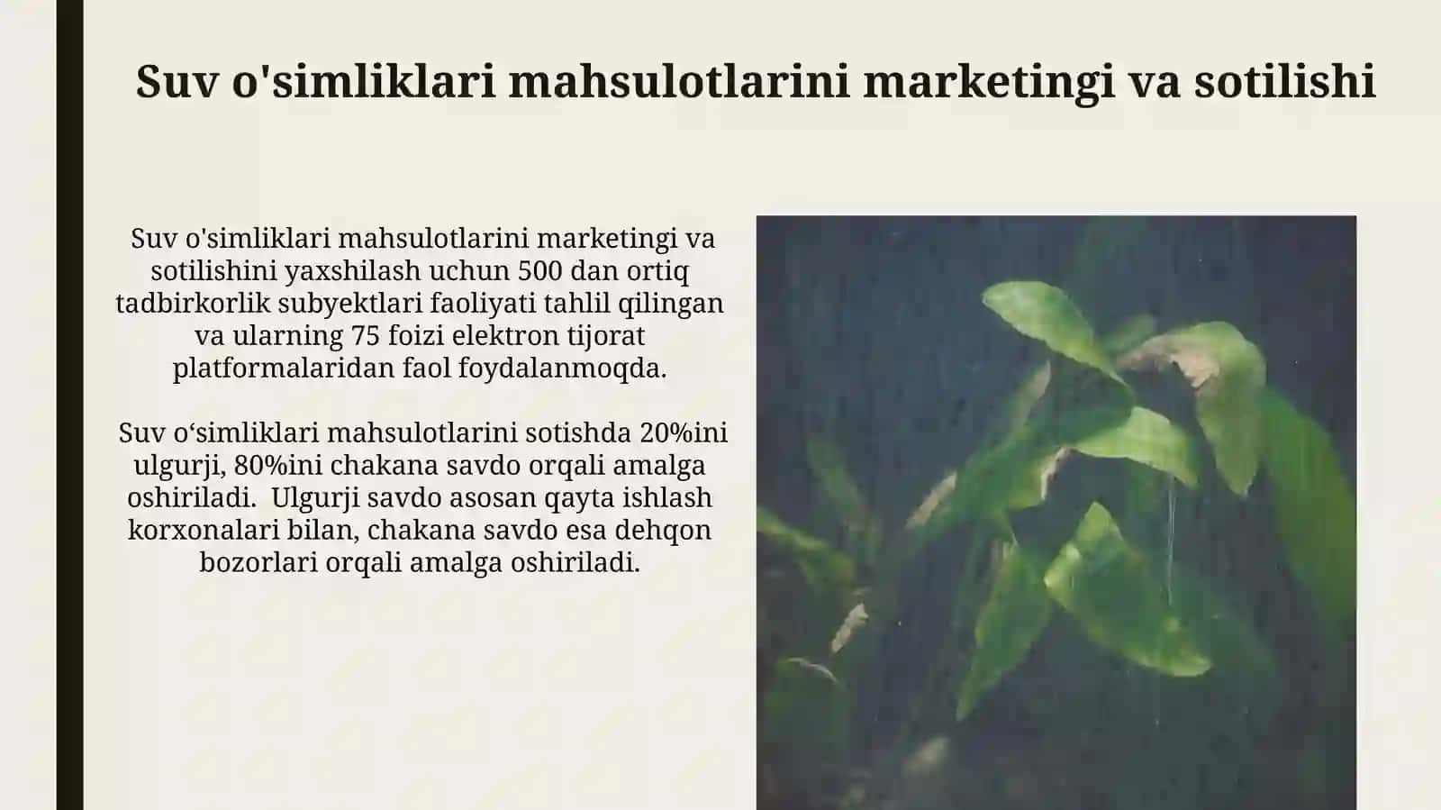 Suv oʻsimliklari mahsulotlarini marketingi va sotilishi 3