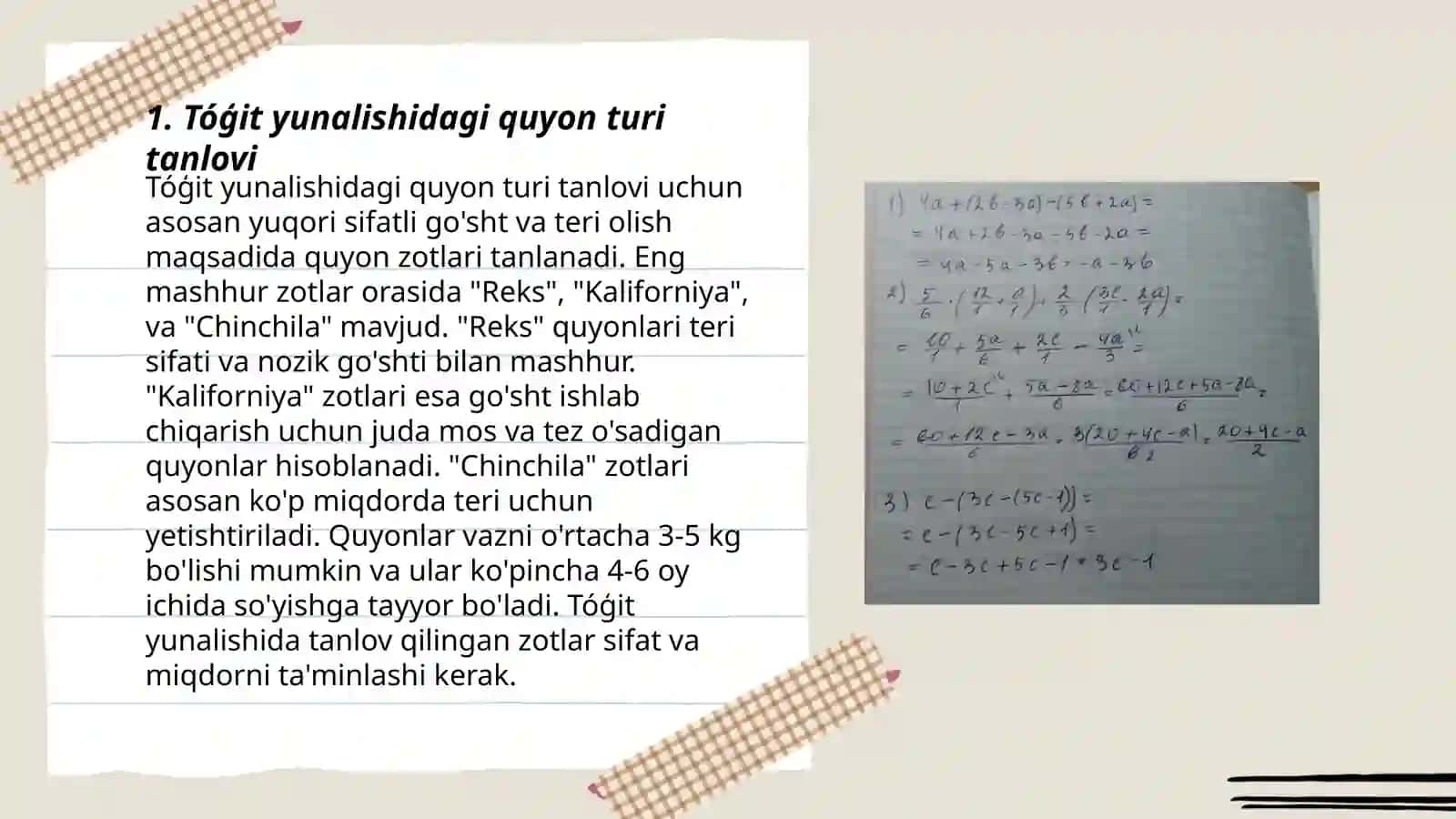 Tóģit yunalishidagi quyonlarni kópaytirish 3