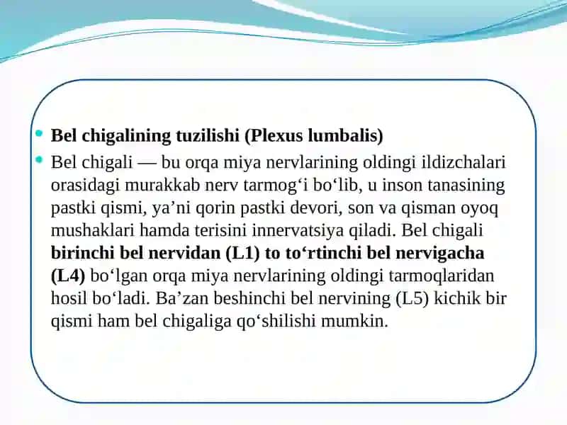 Bel chigali 3