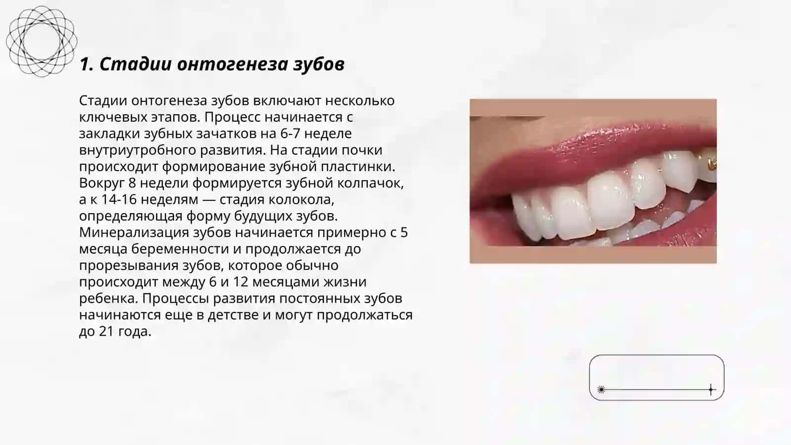 Онтогенез зубов. Пороки развития и их рентгеноанатомия 3