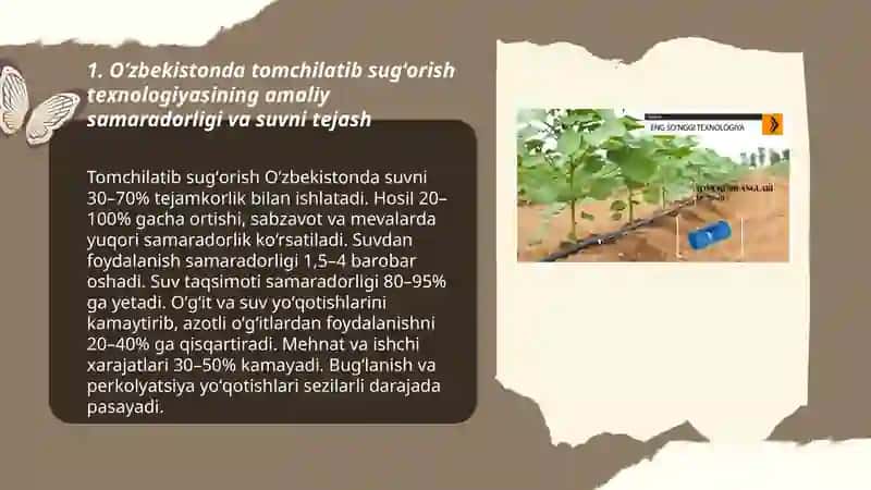 Oʻzbekistonda tomchilatib sugʻorish texnologiyasi 3