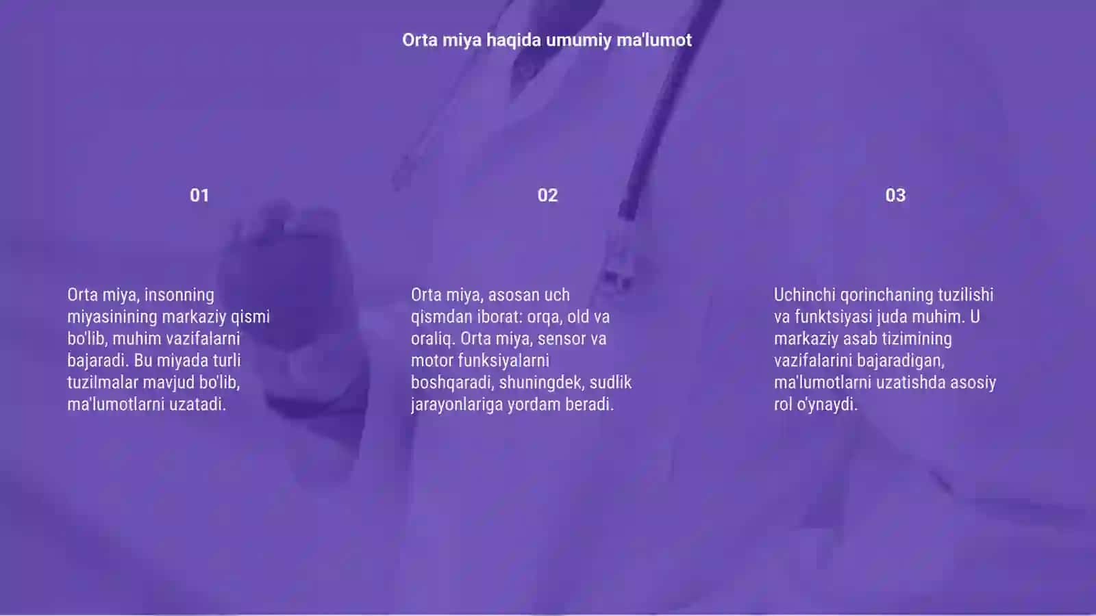 Orta miya oraliq miya uchinchi qorinchaning tuzilishi 3