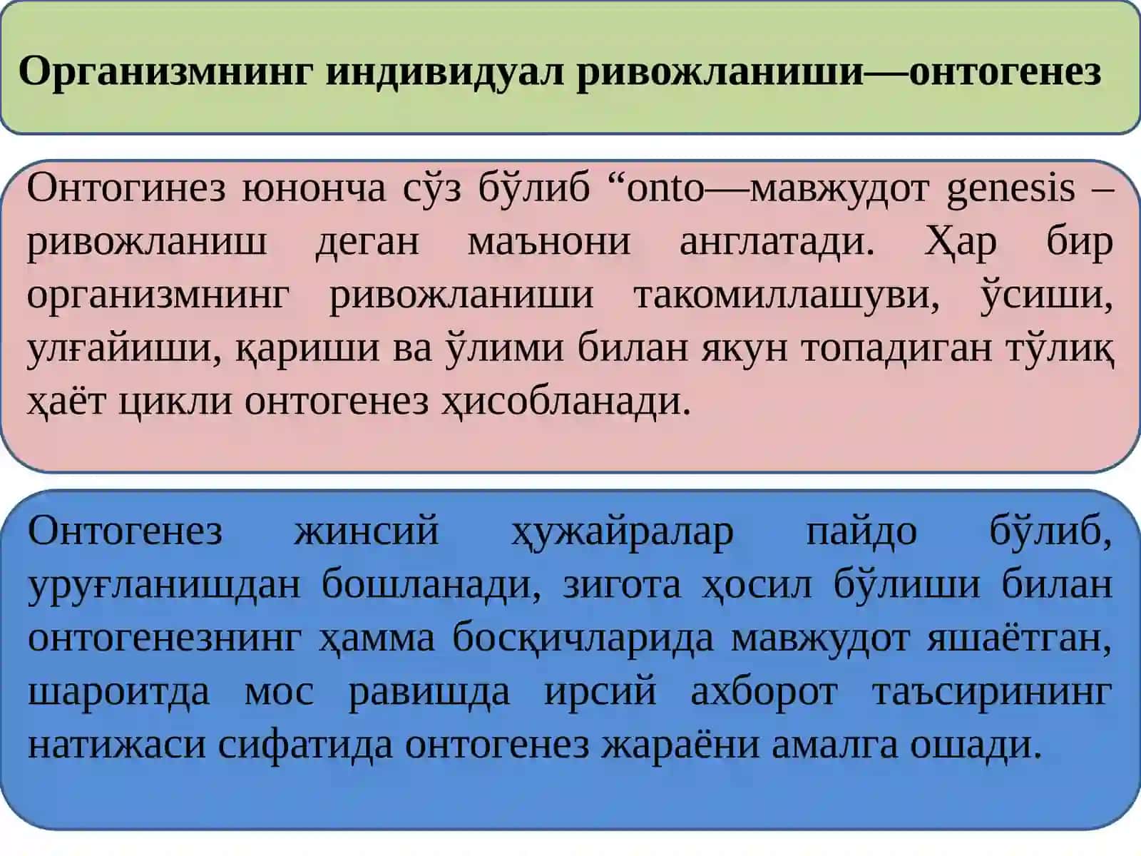 Онтогенез ва ривожланиш 3
