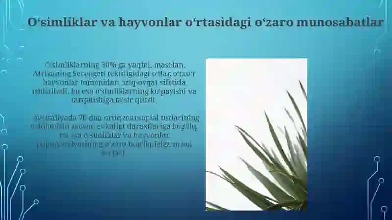 Ósimliklar ekologiyasi asoslari 3
