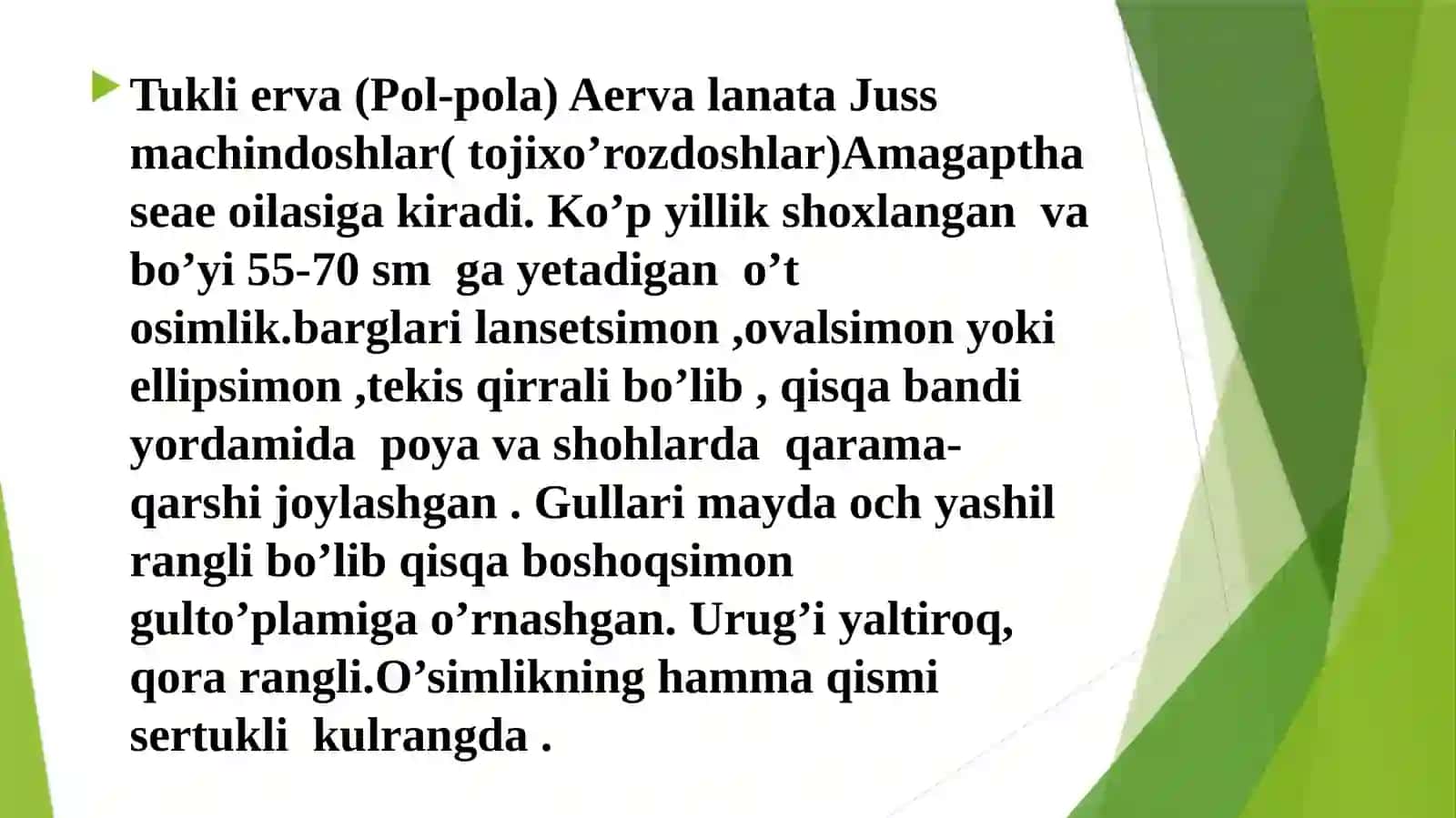 Tukli erva (Aervalanata Juss) o’simlgi urug’chligi va ko’chatchilik tahlili 3