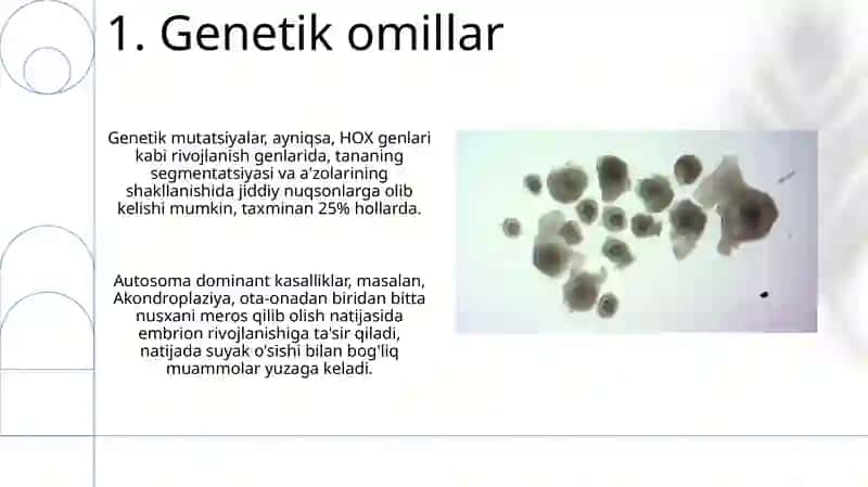 Embriogenezga taʼsir etuvchi salbiy omillar 3