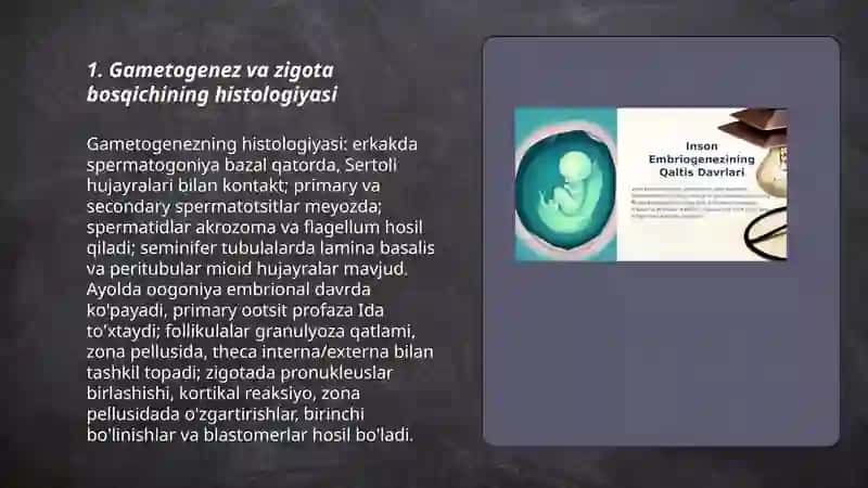 Embiriyonal rivojlanish bosqichlari gistalogiyasi 3