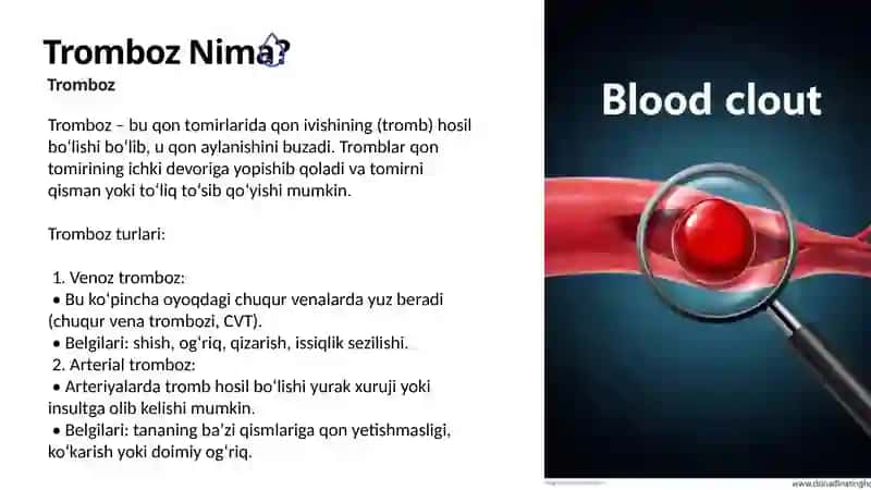 PatoLogik Anatomiya 3
