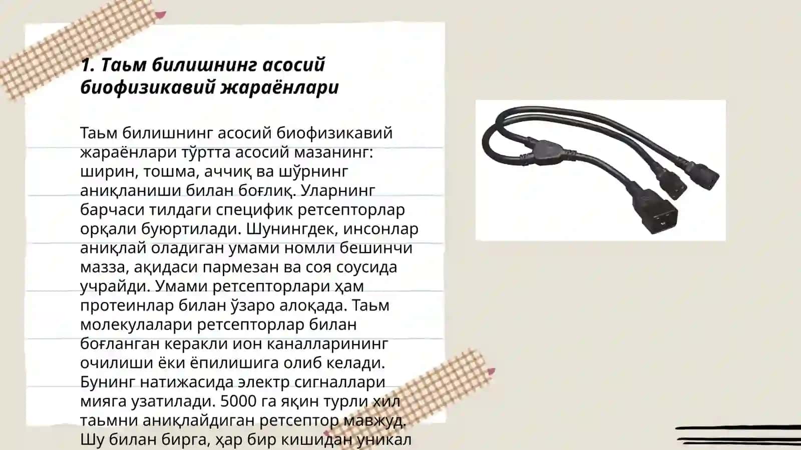 Таьм ва хид билиш назариясининг биофизикавий асослари 3