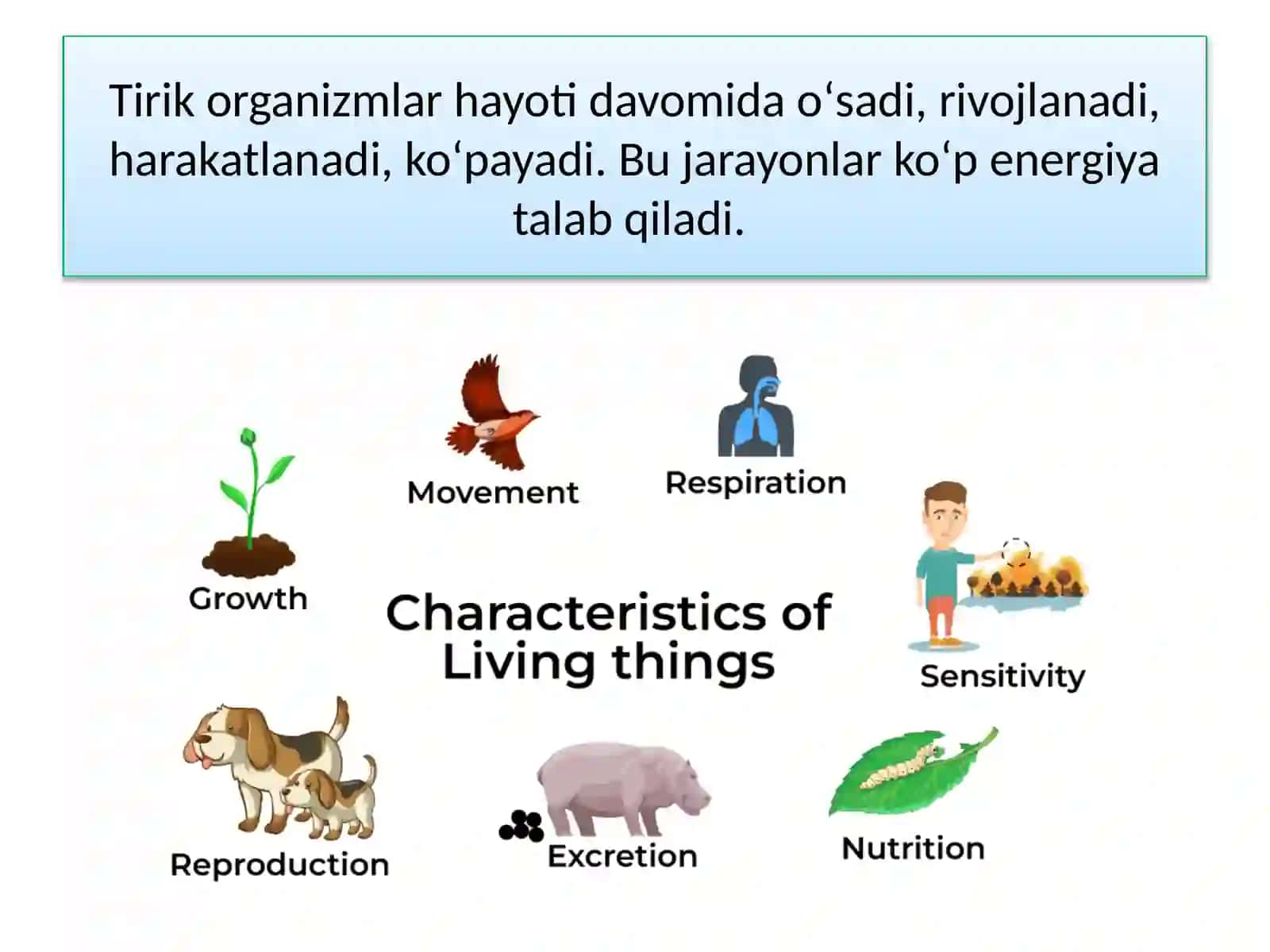 TIRIK ORGANIZM-LARNING OZIQLANISHI 3