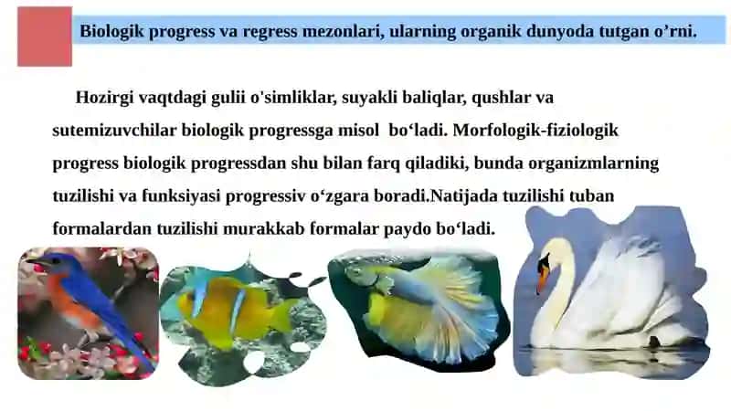 Biologik progress va regress mezonlari, ularning organik dunyoda tutgan o’rni 3