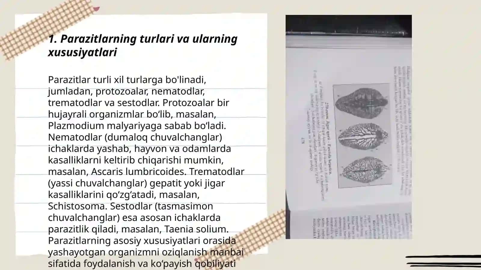 Parazitlarga qarshi profilaktik chora tadbirlar 3