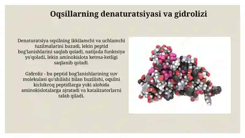 Odam oʻrganizmda oqsinlarning biokimyoviy oʻzgarishi 3