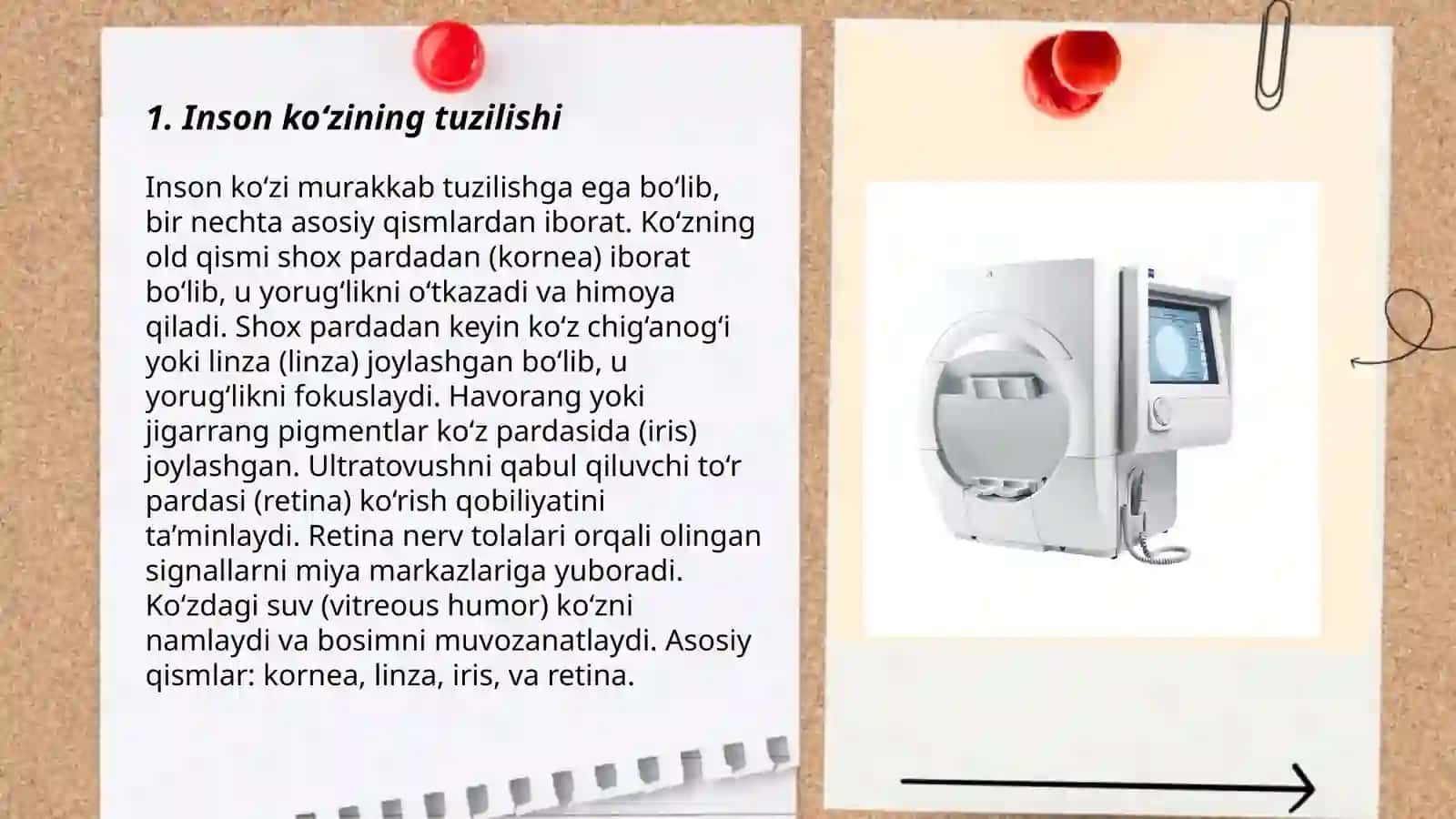 Inson koʻrish analizatori va fiziologiyasi 3